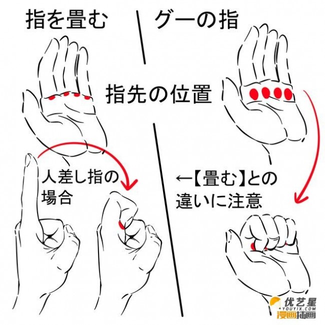 手的不同姿勢簡單畫法步驟手的伸展和握拳姿勢插畫繪畫步驟教程3