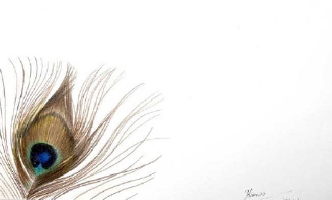 美丽的孔雀羽毛彩铅画手绘教程图片孔雀羽毛的画法孔雀羽怎么画 图片 9p 才艺君