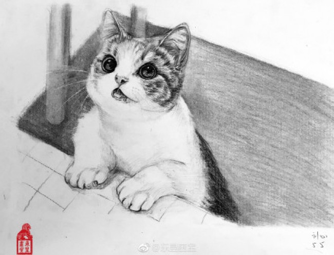 一組十分逼真寫實的動物素描畫作品圖片兔子狗狗貓咪猩猩犀牛獅子