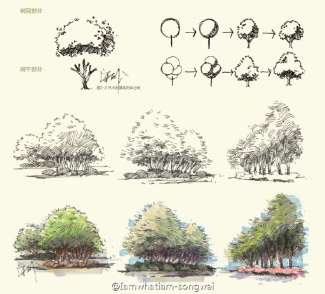 常見植物樹木景觀馬克筆手繪教程圖片針管筆簽字筆鋼筆搭配馬克筆景觀
