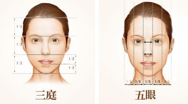 日漫人物角色臉型與臉部結構演示講解畫法圖片臉部五官比例結構