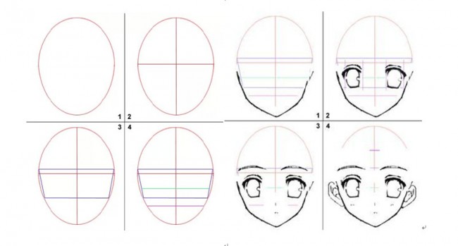 日漫人物角色臉型與臉部結構演示講解畫法圖片臉部五官比例結構