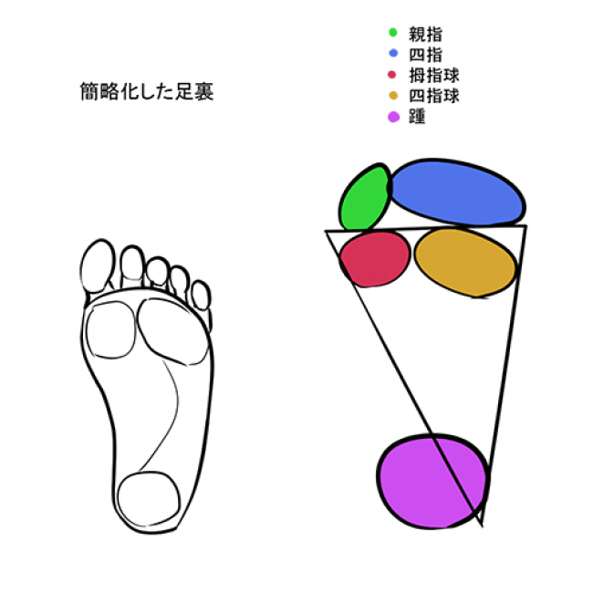 動漫人物的腳怎麼畫人的腳的畫法腳的結構圖片腳掌腳趾頭