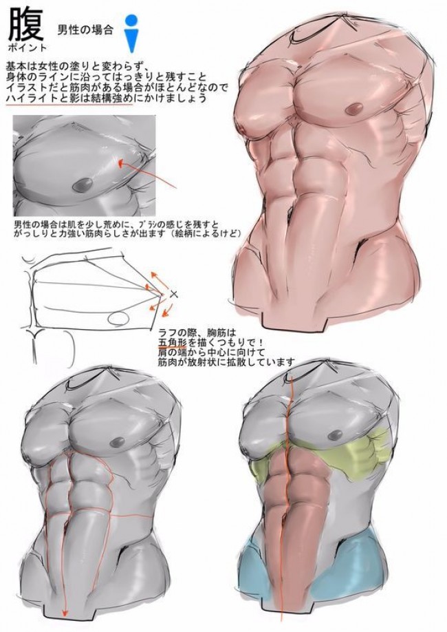 画腹肌教程图解 第1页 图说健康