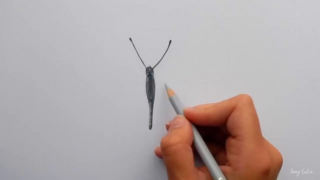 【视频】很简单的蝴蝶彩铅手绘视频教程 蝴蝶的画法 简单的蝴蝶怎么画