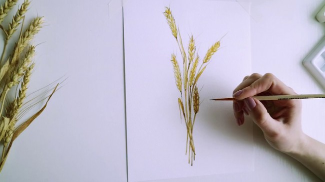 视频简单小清新的麦穗水彩手绘视频教程有感觉的麦穗怎么画画法