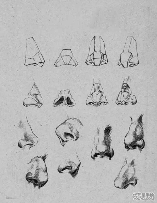 Построение носа академический рисунок поэтапно